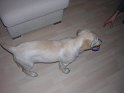 Iarna 2009 027